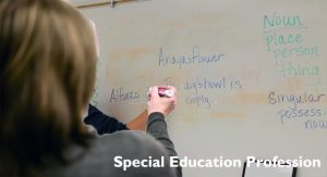 An Inside Appear in the Special Education Profession