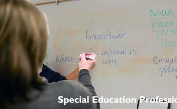 An Inside Appear in the Special Education Profession