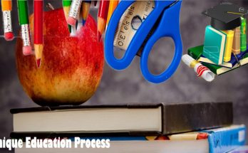 Understanding the Unique Education Process